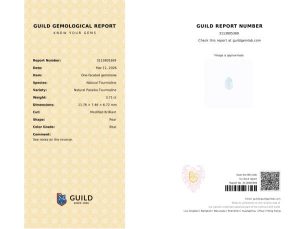 3.71 Carat Oval Guild Certified Diamond